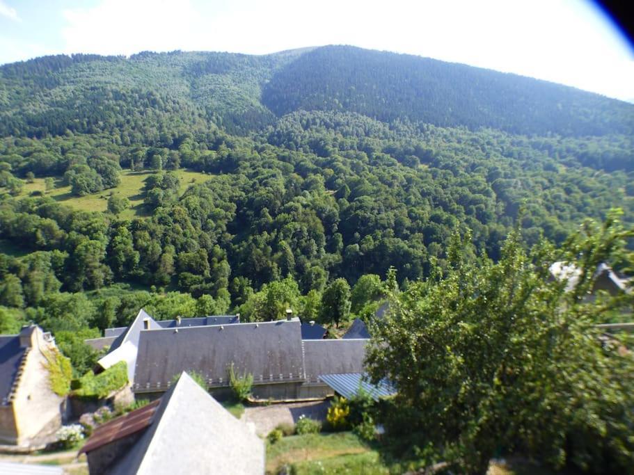 Maison Familiale Pour 8 Saint-Aventin Luaran gambar