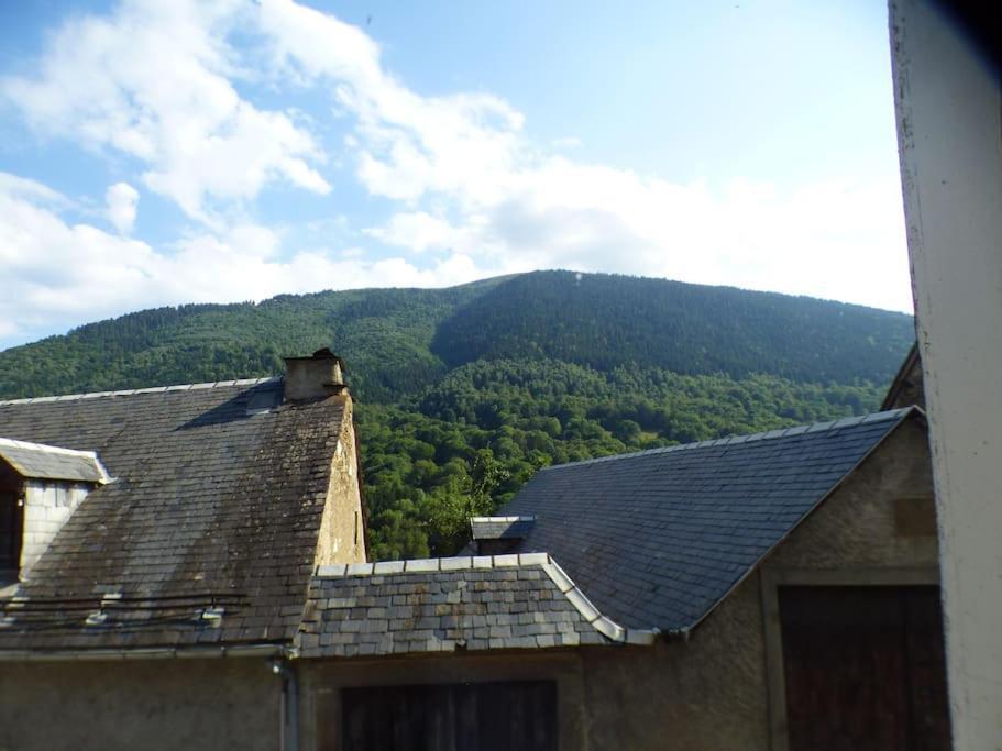 Maison Familiale Pour 8 Saint-Aventin Luaran gambar